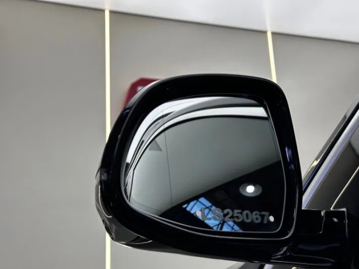 BMW X7 30d INDIVIDUAL 2019