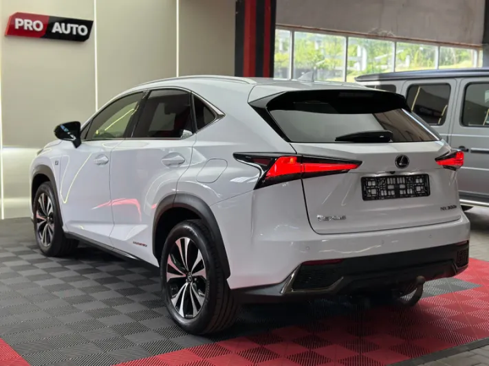 LEXUS NX300h 2019