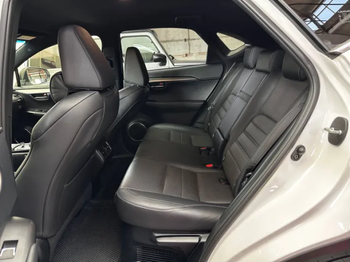 LEXUS NX300h 2019