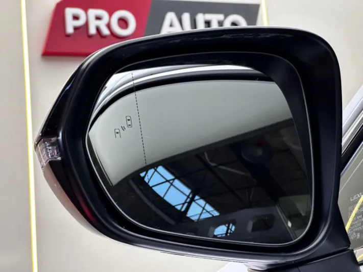 LEXUS NX300h 2019