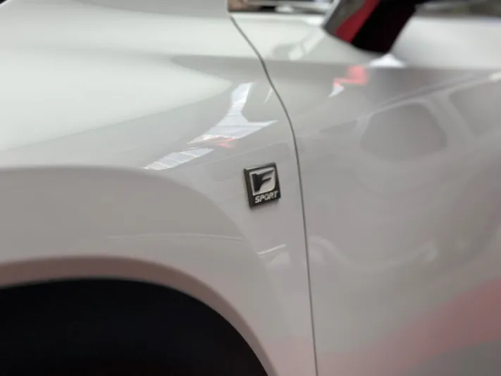 LEXUS NX300h 2019