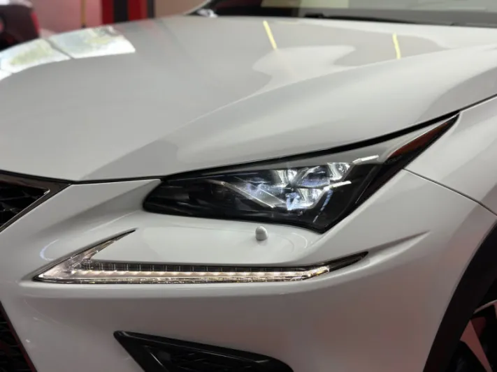 LEXUS NX300h 2019