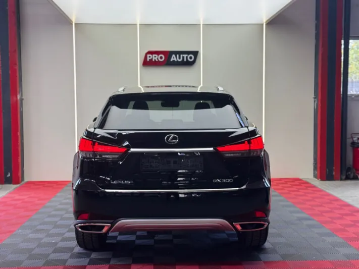Lexus RX Series