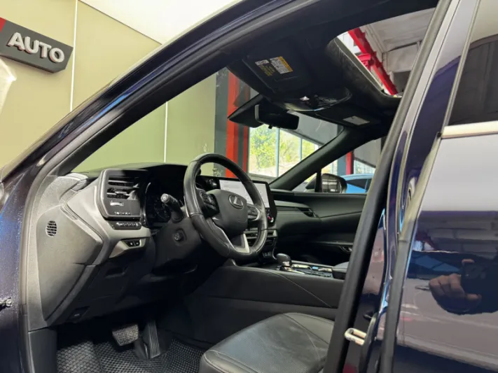 Lexus RX Series