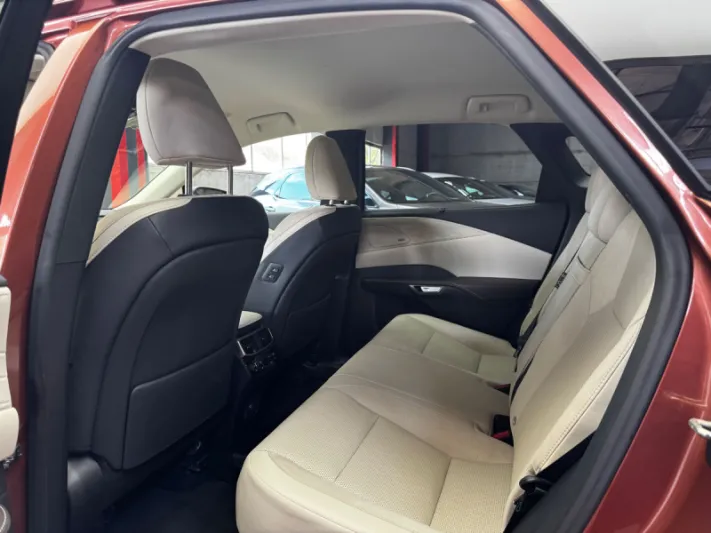 Lexus RX Series