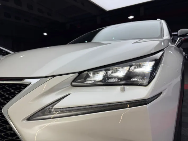 Lexus NX Series